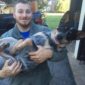 Meet your Posher, Dan